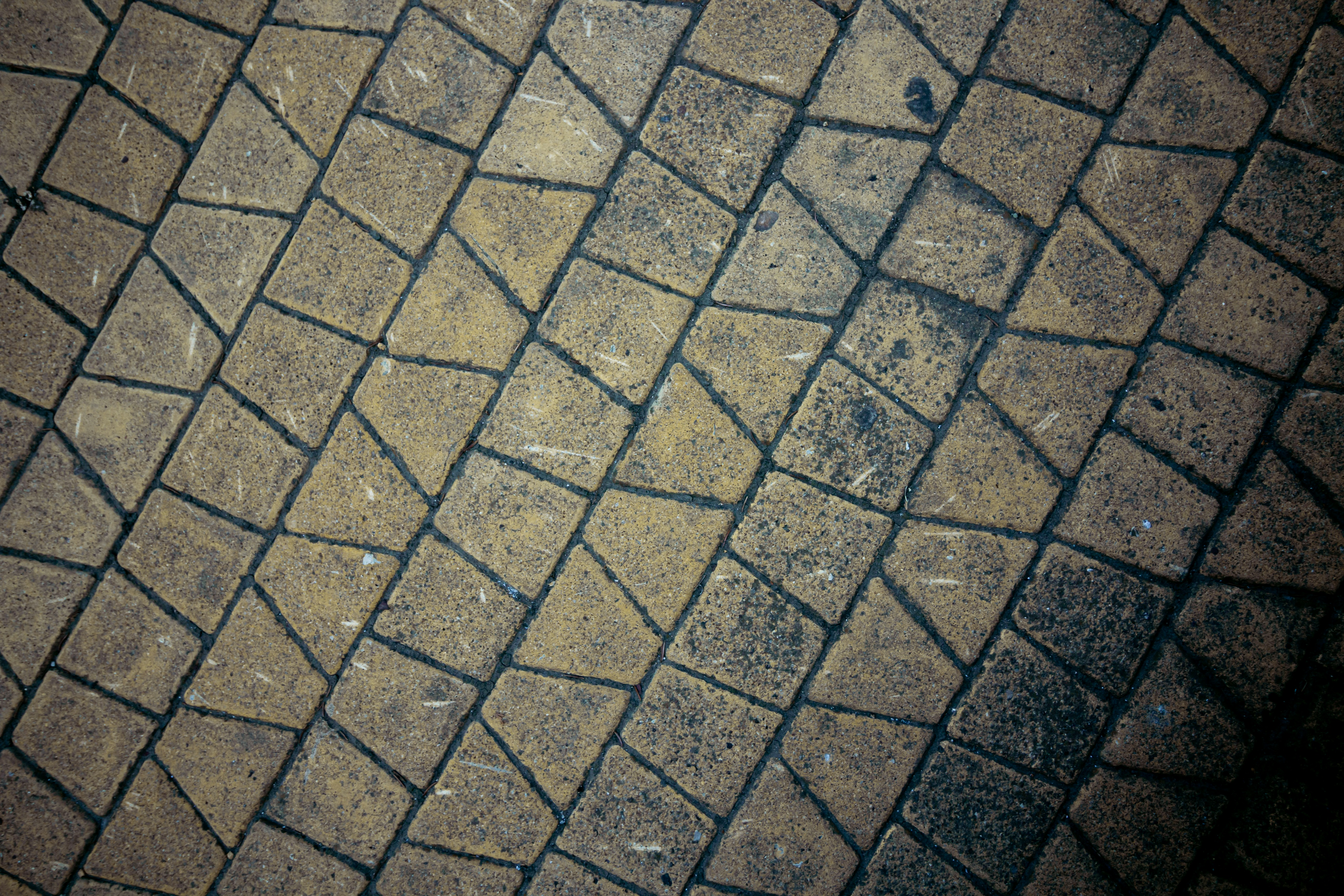 Stained Concrete Floors